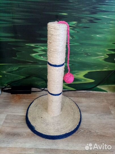 Кошачья когтеточка