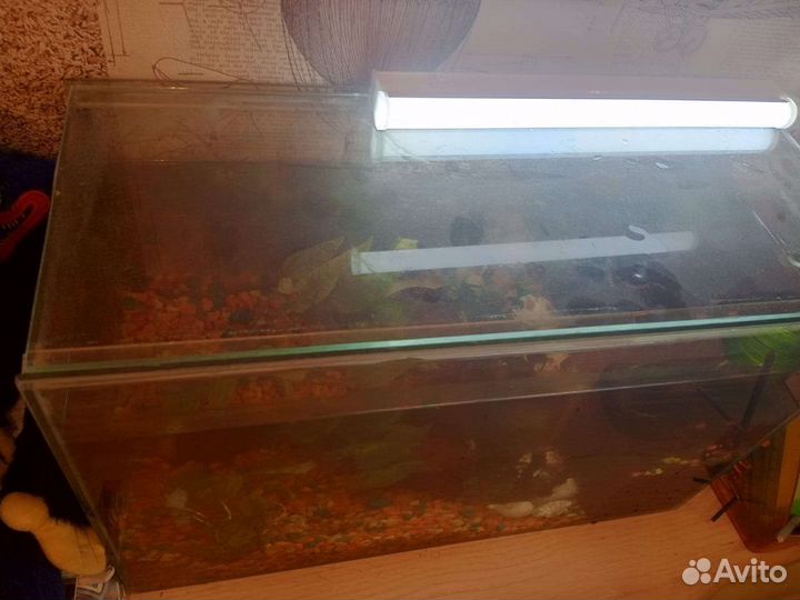 Аквариум