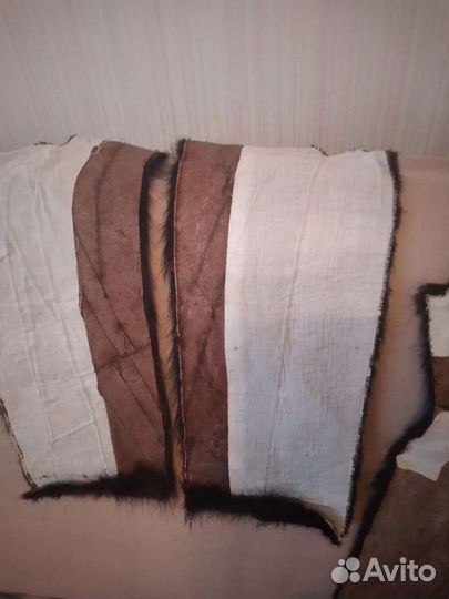 Мех полотном.Нутрия