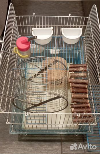 Клетка для хомяка