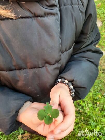 Четырехлистник клевер