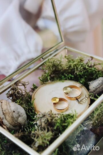 Фотограф фотосессии Новосибирск осень