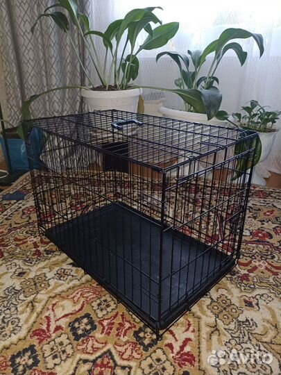 Клетка для собаки бу