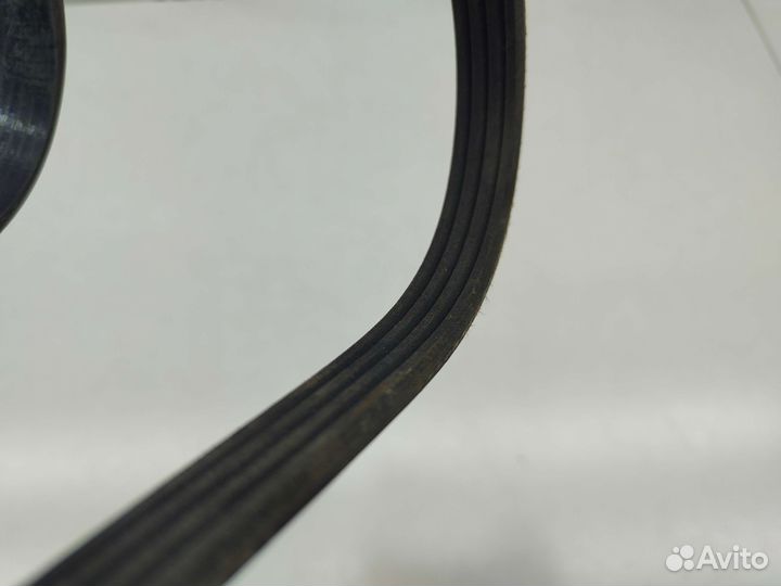 Ремень приводной Honda Domani MA4 1994 г.в