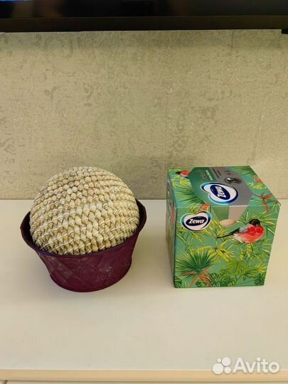 Сувенир, шар из ракушек Куплен в Мексике