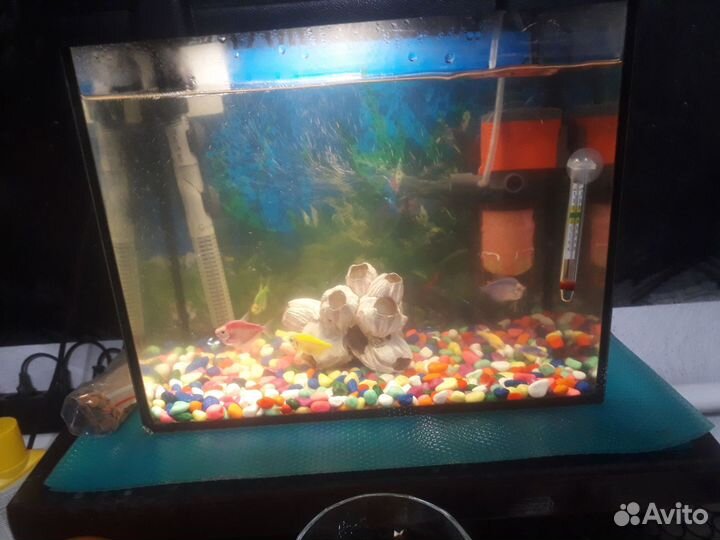 Аквариум