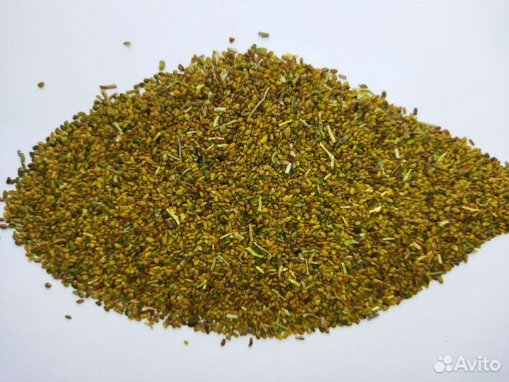 Семена люцерны