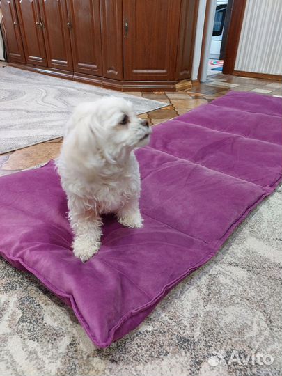 Матрас для кушетки