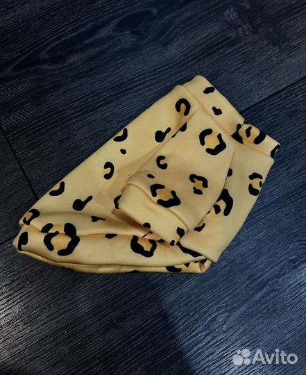 Одежда для маленьких собак и кошек