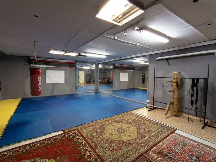 Зал для единоборств + тренажерный зал, 100 м²