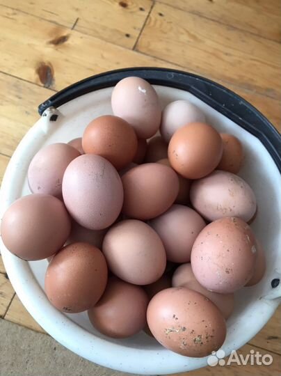 Яйца Перепелиные, Куриные