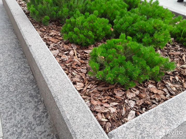 Кора мульча сосновая в мешках в Чехове