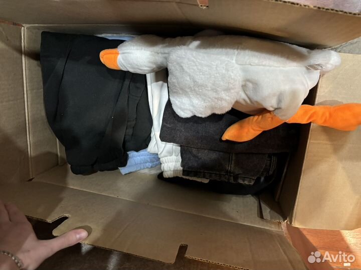 Вещи:Рубашка2Джинсов2Шуба1Трен1Косуха1Штан4Игрушк