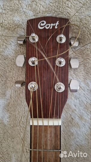 Электроакустика Cort Earth 50E ns