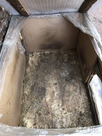 Будка для собаки утепленная