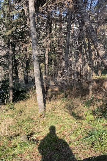 Участок 7 сот. (ИЖС)