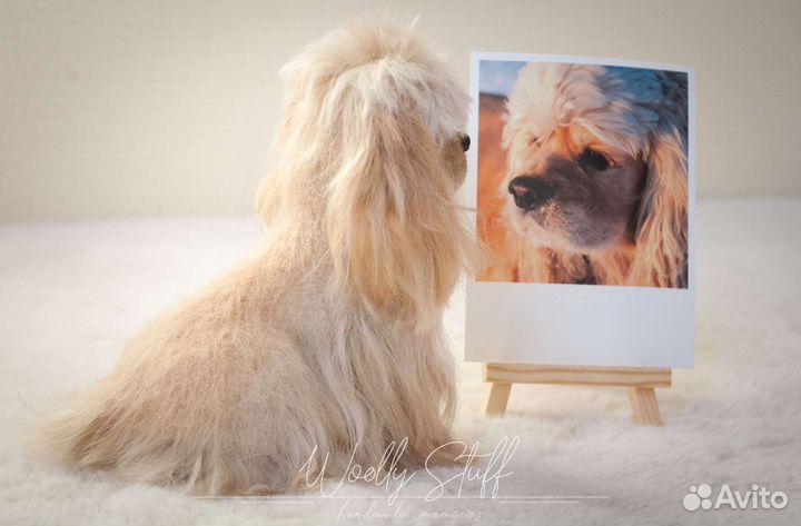 Собака из шерсти по фото питомца