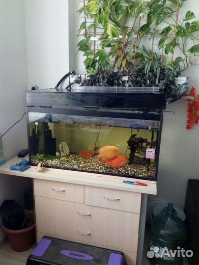 Аквариум 200 литров