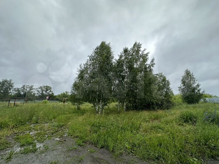 Участок 10 сот. (ИЖС)