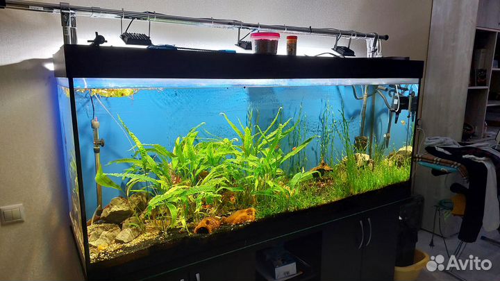 Аквариум