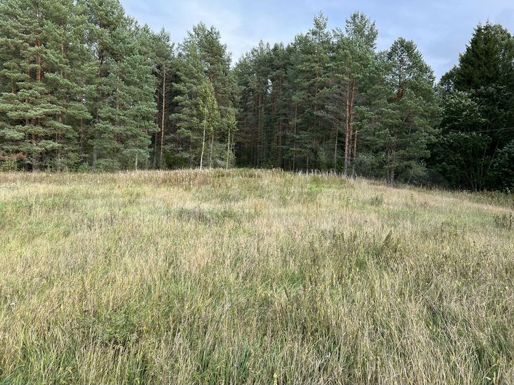 Участок 4,26 га (СНТ, ДНП)