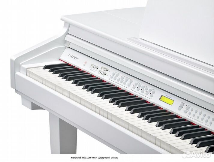 Kurzweil KAG100 EP Цифровой рояль
