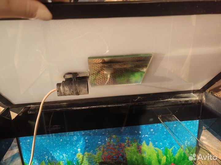 Аквариум