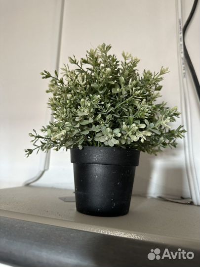 Искусственные цветы IKEA