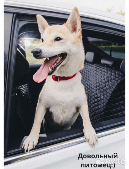 Накидка для перевозки животных в авто