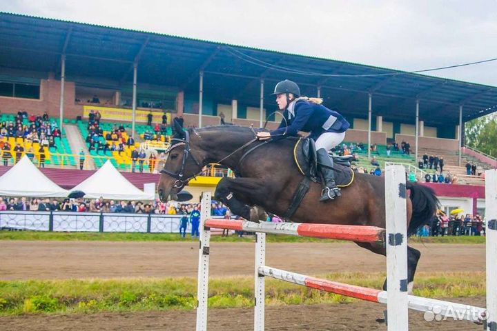 Прокат лошадей