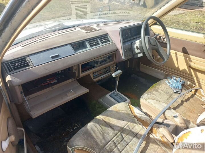 Nissan Violet liberta