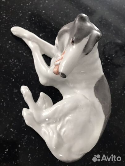Борзая собака