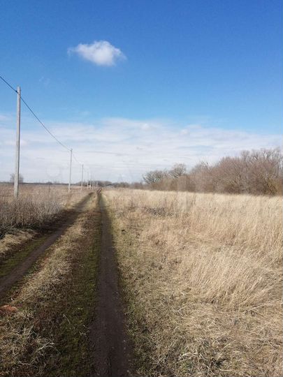 Участок 10 сот. (ИЖС)