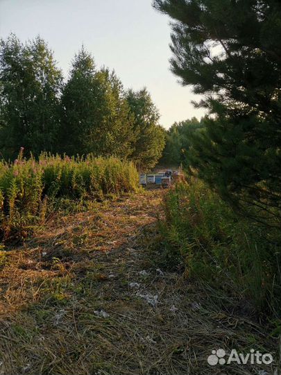 Мед Окунево