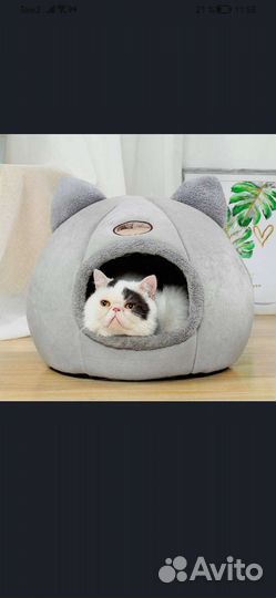 Pusheen cat