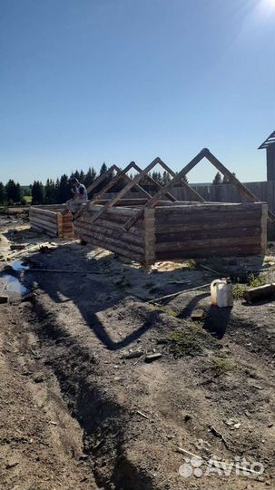 Срубы из зимнего леса