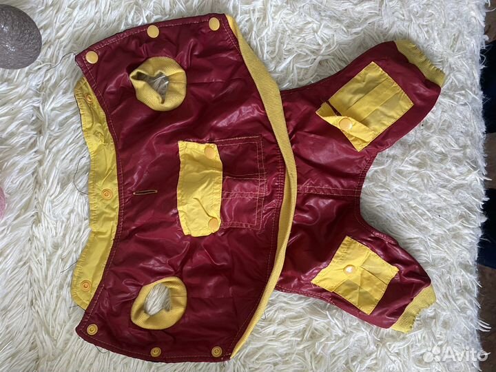 Одежда для маленьких собак