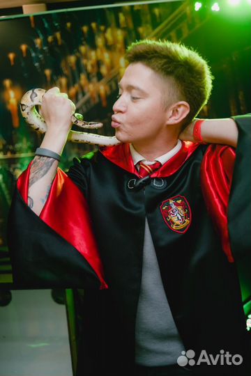 Трешбокс, Фанбокс, Угадай что внутри, Шоу