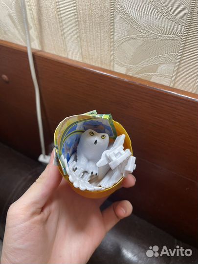 Совушка Гарри Поттер