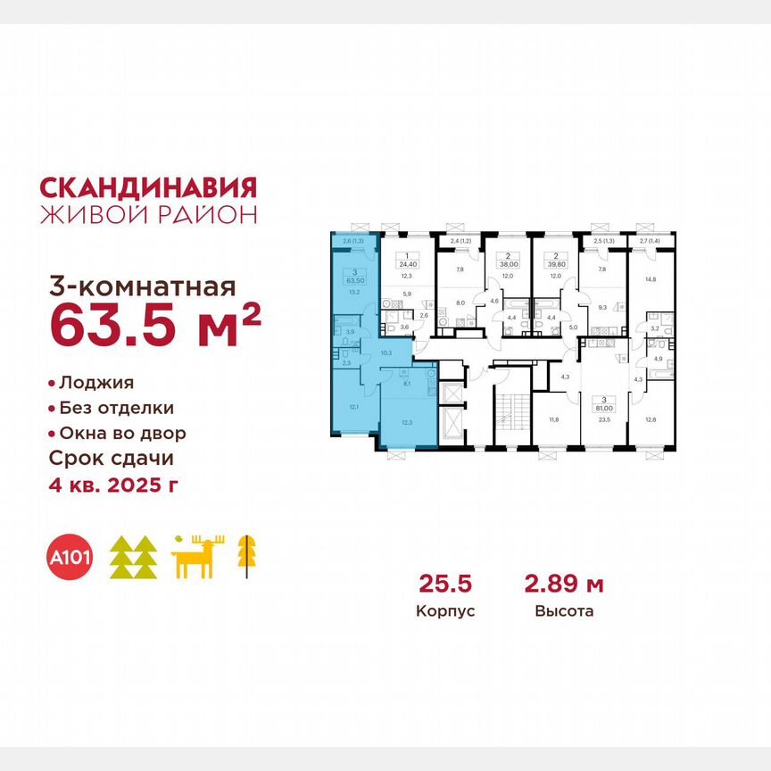 3-к. квартира, 63,5 м², 3/17 эт.