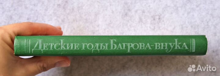 Сергей Аксаков: Детские годы Багрова-внука
