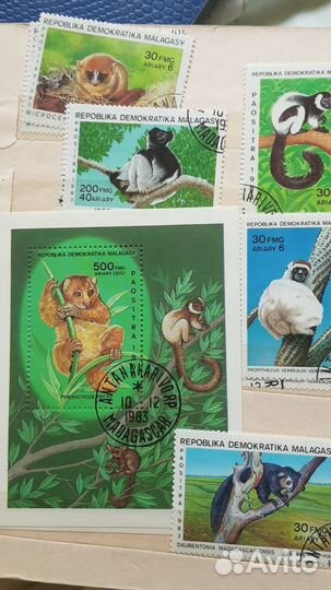 Редкие марки - бабочки, лемуры и орхидеи