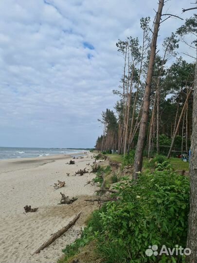 Аренда авто с водителем.Трансфер.Трезвый водитель