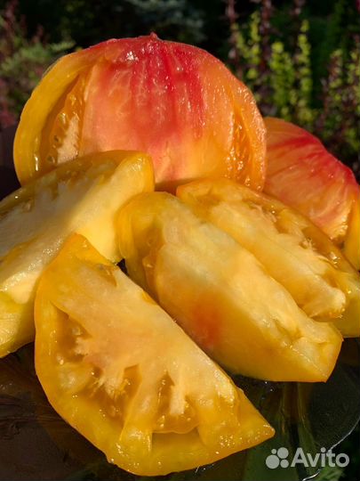 Семена коллекционных сортов томатов