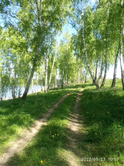 Участок 12,5 сот. (ИЖС)