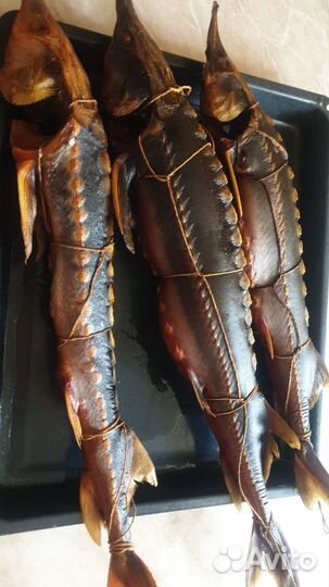 Рыба горячего копчения