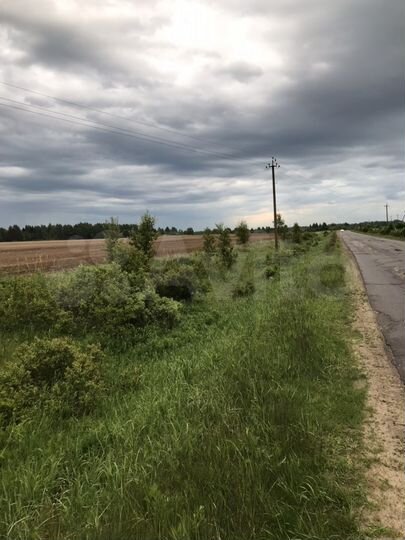 Участок 6 га (СНТ, ДНП)