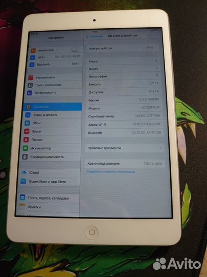 iPad mini 1