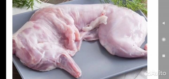 Мясо кролика