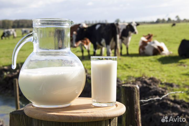 Молоко коровье